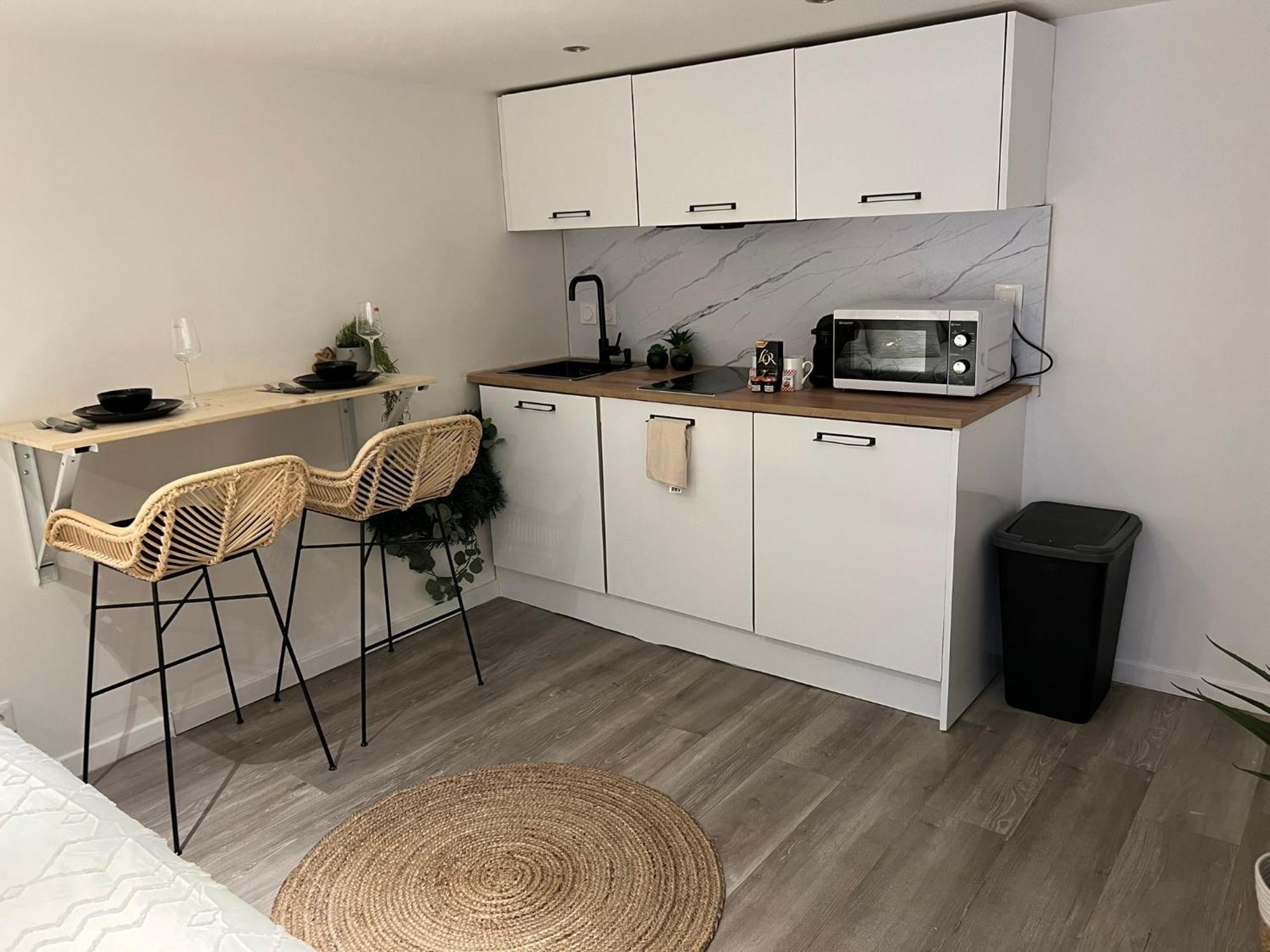 Le Zenith Vieille Ville D'Annecy Dış mekan fotoğraf